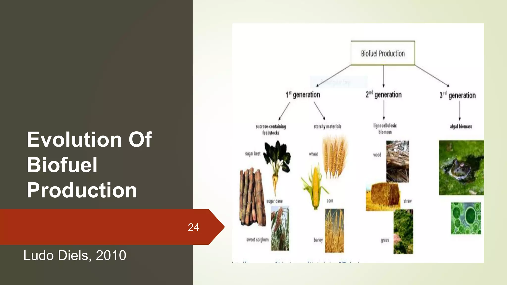Microbial application for biofuel production | PPTX