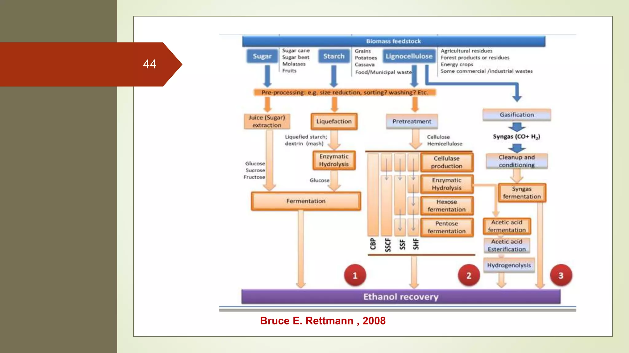 Microbial application for biofuel production | PPTX