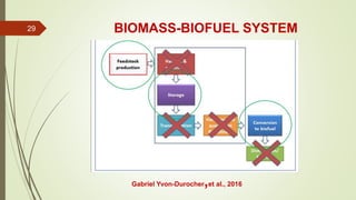 Microbial application for biofuel production | PPTX