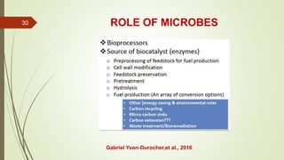 ROLE OF MICROBES
Gabriel Yvon-Durocher,et al., 2016
30
 