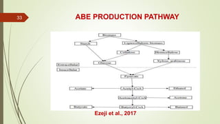 ABE PRODUCTION PATHWAY
Ezeji et al., 2017
33
 