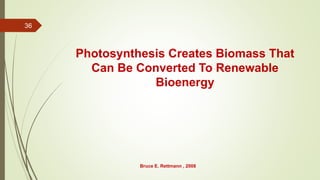 Photosynthesis Creates Biomass That
Can Be Converted To Renewable
Bioenergy
Bruce E. Rettmann , 2008
36
 