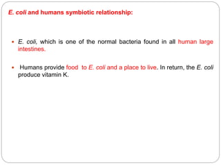  E. coli, which is one of the normal bacteria found in all human large
intestines.
 Humans provide food to E. coli and a place to live. In return, the E. coli
produce vitamin K.
E. coli and humans symbiotic relationship:
 