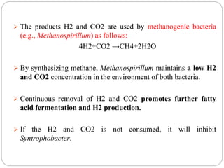  The products H2 and CO2 are used by methanogenic bacteria
(e.g., Methanospirillum) as follows:
4H2+CO2 →CH4+2H2O
 By synthesizing methane, Methanospirillum maintains a low H2
and CO2 concentration in the environment of both bacteria.
 Continuous removal of H2 and CO2 promotes further fatty
acid fermentation and H2 production.
 If the H2 and CO2 is not consumed, it will inhibit
Syntrophobacter.
 