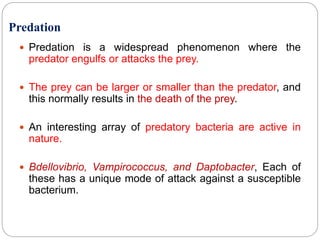 Predation Microbe Microbial associations or microbial interactions | PPTX