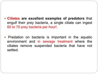 Ciliates are excellent examples of predators that
engulf their prey bacteria, a single ciliate can ingest
60 to 70 prey bacteria per hour!.
 Predation on bacteria is important in the aquatic
environment and in sewage treatment where the
ciliates remove suspended bacteria that have not
settled.
 
