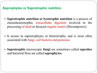 Saprophytes or Saprotrophic nutrition
 Saprotrophic nutrition or lysotrophic nutrition is a process of
chemoheterotrophic extracellular digestion involved in the
processing of dead or decayed organic matter (Decomposers).
 It occurs in saprotrophytes or heterotrophs, and is most often
associated with fungi, soil bacteria and protozoa.
 Saprotrophic microscopic fungi are sometimes called saprobes
and bacterial flora are called saprophytes.
 