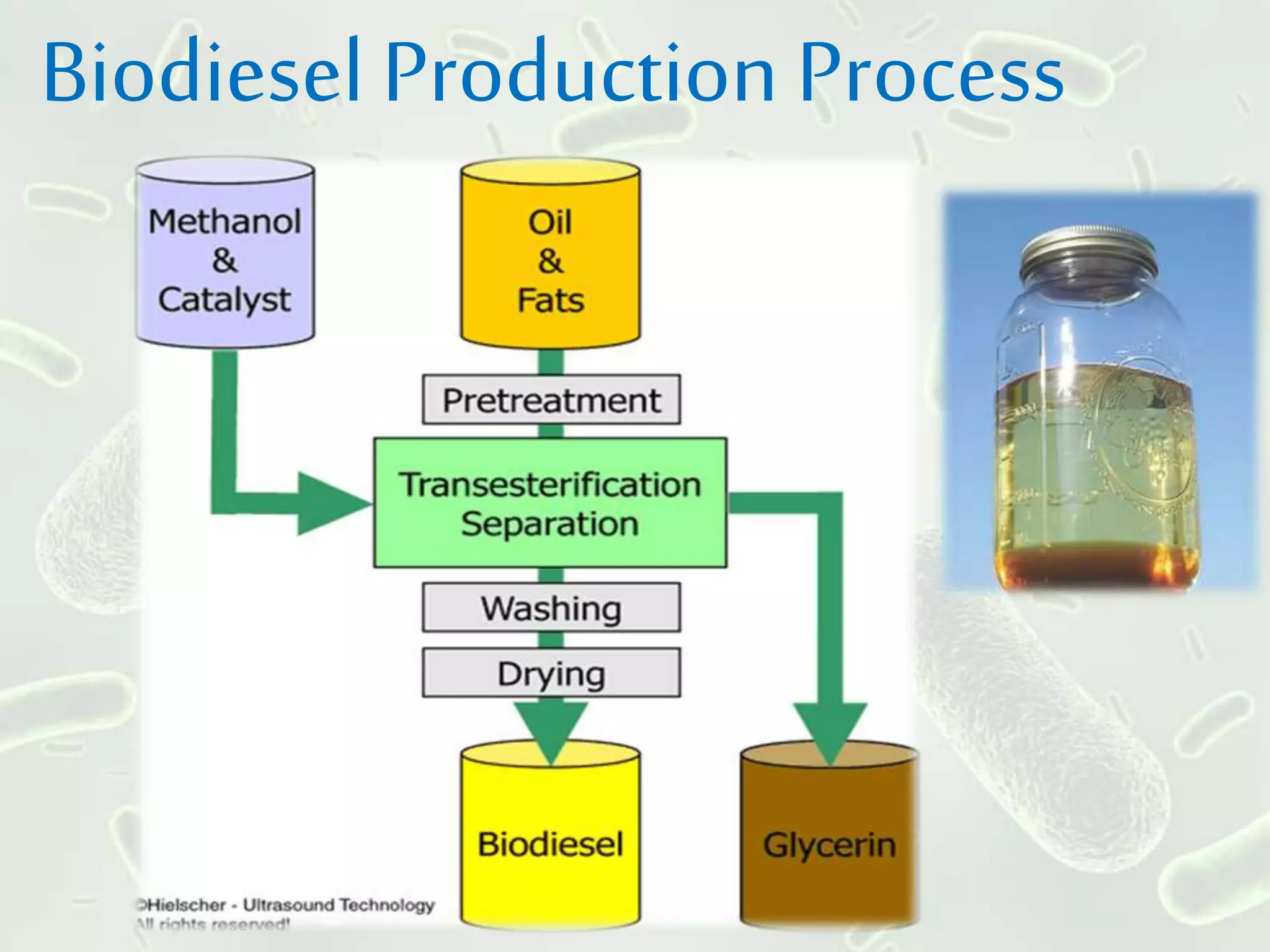 Biodiesel Production Process
 