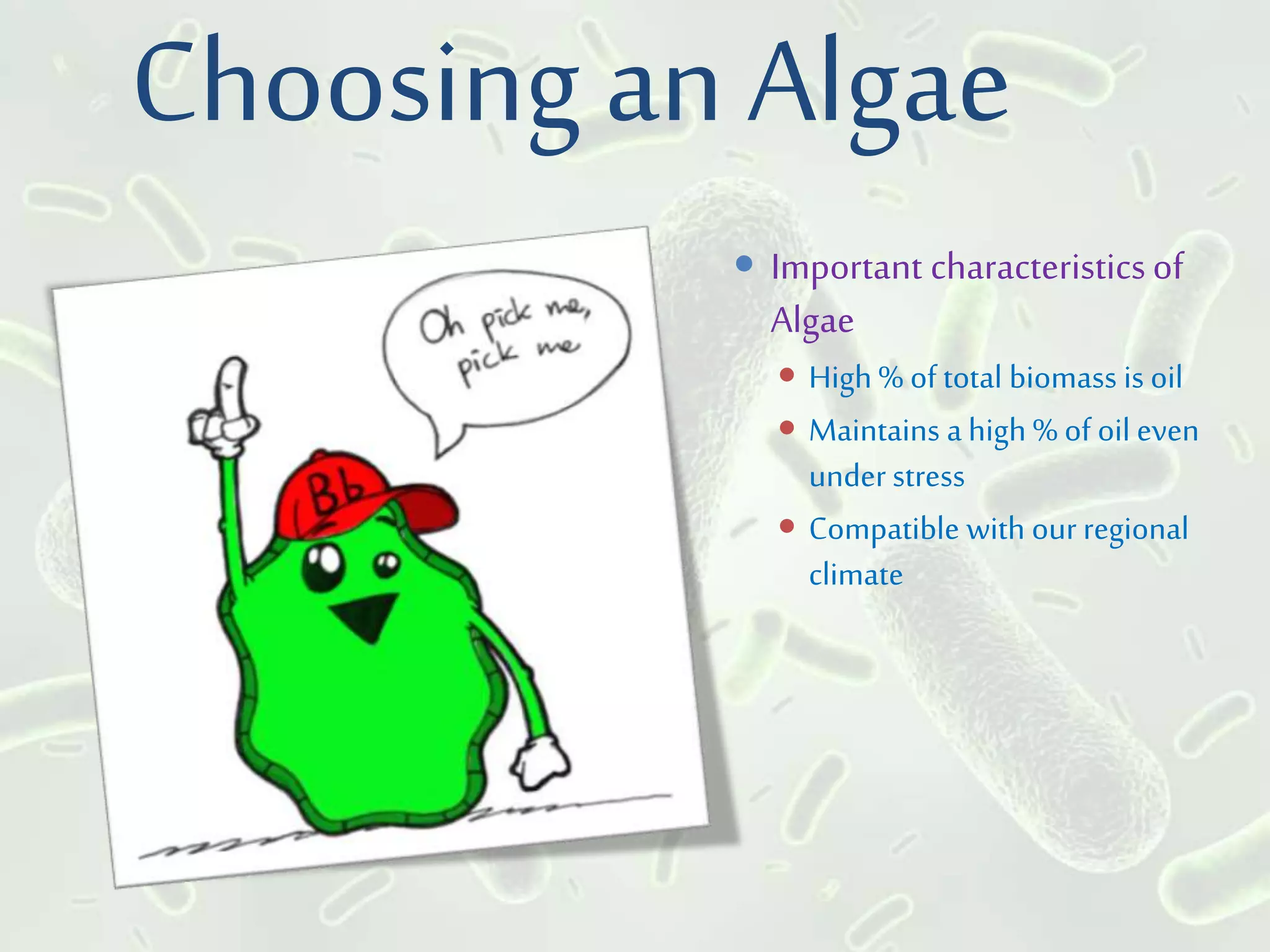 Choosing an Algae
 Important characteristicsof
Algae
 High % oftotal biomass is oil
 Maintains a high % of oil even
under stress
 Compatible with ourregional
climate
 
