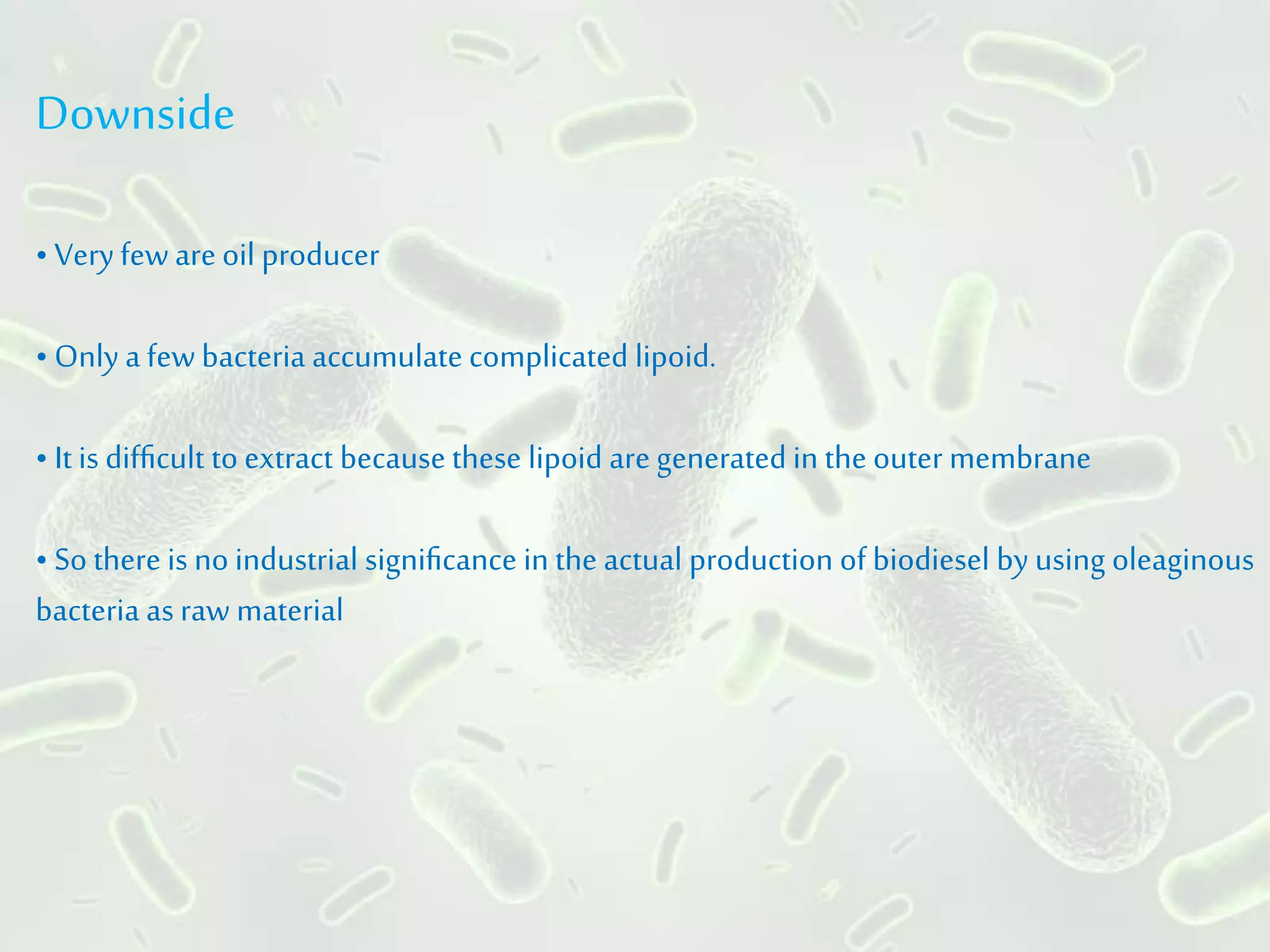 Downside
• Veryfewareoil producer
• Only a fewbacteria accumulate complicated lipoid.
• It is difﬁcult toextract becausethese lipoid aregenerated in the outer membrane
• So there is no industrial signiﬁcance in the actual production of biodiesel by using oleaginous
bacteria as raw material
 