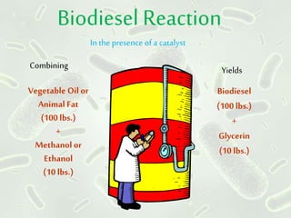 Biodiesel Reaction
Vegetable Oil or
Animal Fat
(100 lbs.)
+
Methanol or
Ethanol
(10 lbs.)
Biodiesel
(100 lbs.)
+
Glycerin
(10 lbs.)
In the presence of a catalyst
Combining Yields
 