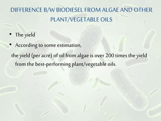 DIFFERENCE B/W BIODIESEL FROM ALGAE AND OTHER
PLANT/VEGETABLE OILS
• The yield
• According to some estimation,
theyield (per acre) of oilfrom algaeis over 200 times theyield
from the best-performingplant/vegetable oils.
 