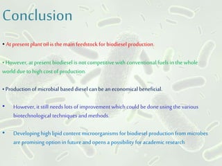 Conclusion
•At presentplant oil is the main feedstock for biodiesel production.
• However, at present biodiesel is not competitive with conventional fuels in the whole
world duetohigh cost of production.
• Production of microbial based diesel can be an economical beneficial.
• However, it still needs lots of improvement which could be done using the various
biotechnological techniques and methods.
• Developing high lipid content microorganisms for biodiesel production from microbes
are promising option in future and opens a possibility for academic research
 