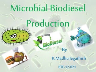 Microbial Biodiesel
Production
By
K.MadhuJegathish
BTE-12-021
 