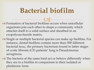  Formation of bacterial biofilms occurs when unicellular
organisms join each other to shape a community which
attaches itself to a solid surface and sheathed in an
exopolysaccharide matrix.
 Single or multiple bacterial species can make up biofilms. For
instance, dental biofilms contain more than 500 different
bacterial taxa;, the primary bacterium found in latter stages
of cystic fibrosis (CF) patients’ lung is Pseudomonas
aeruginosa.
 The bacteria of the same kind act or behave differently when
they are in a biofilm in comparison to their isolated or
planktonic form
Bacterial biofilm
 
