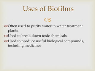 
Often used to purify water in water treatment
plants
Used to break down toxic chemicals
Used to produce useful biological compounds,
including medicines
Uses of Biofilms
 