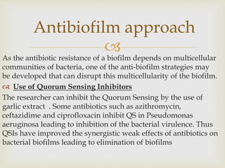 
As the antibiotic resistance of a biofilm depends on multicellular
communities of bacteria, one of the anti-biofilm strategies may
be developed that can disrupt this multicellularity of the biofilm.
 Use of Quorum Sensing Inhibitors
The researcher can inhibit the Quorum Sensing by the use of
garlic extract . Some antibiotics such as azithromycin,
ceftazidime and ciprofloxacin inhibit QS in Pseudomonas
aeruginosa leading to inhibition of the bacterial virulence. Thus
QSIs have improved the synergistic weak effects of antibiotics on
bacterial biofilms leading to elimination of biofilms
Antibiofilm approach
 