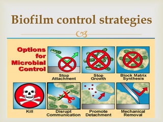 
Biofilm control strategies
 