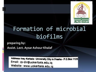 preparing by:
Assist. Lect. Aysar Ashour Khalaf
Formation of microbial
biofilms
 