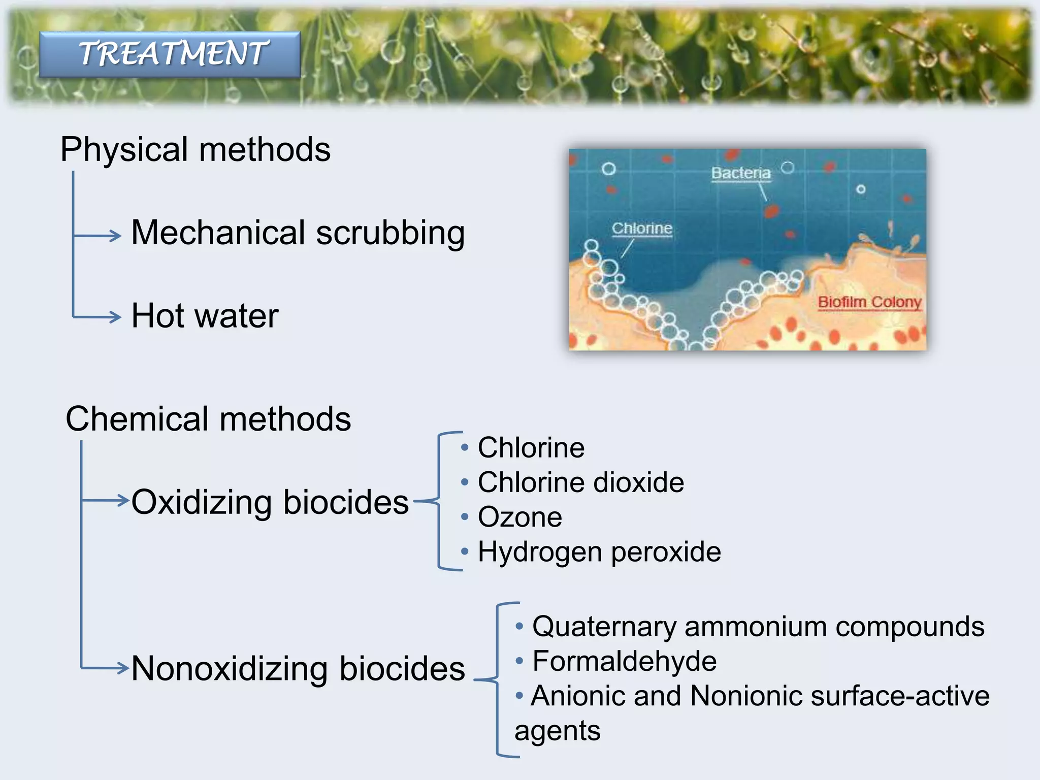 Microbial biofilms pilar valverde | PPTX