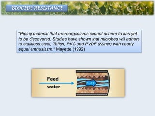 Microbial biofilms pilar valverde | PPTX
