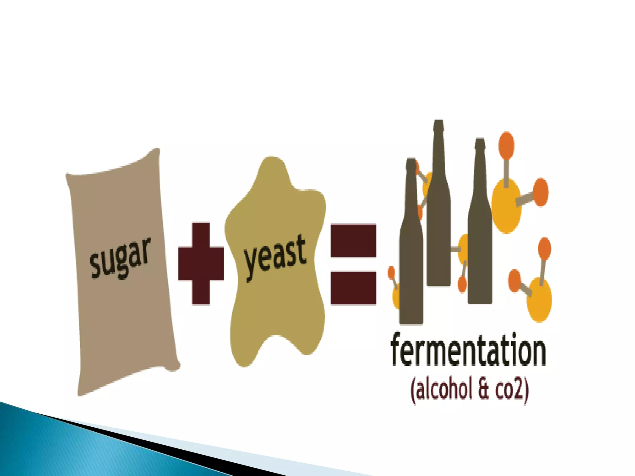 Microbial bioprocessing