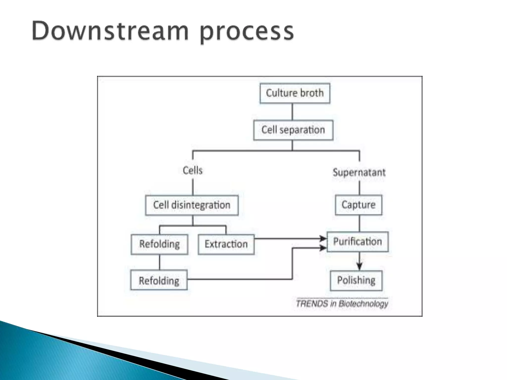 Microbial bioprocessing