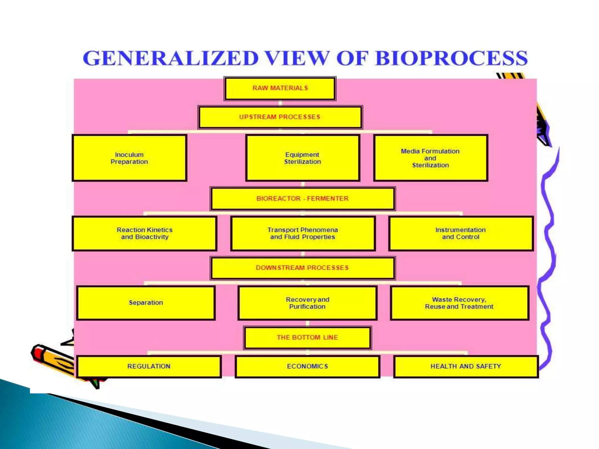 Microbial bioprocessing