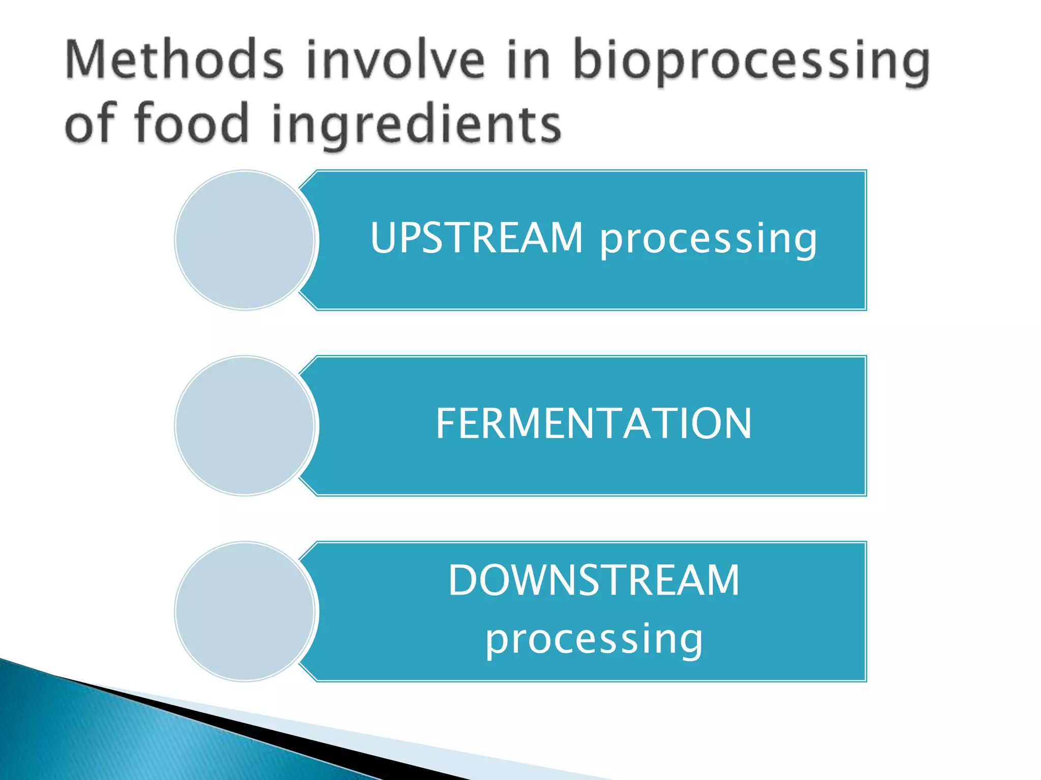 UPSTREAM processing
FERMENTATION
DOWNSTREAM
processing