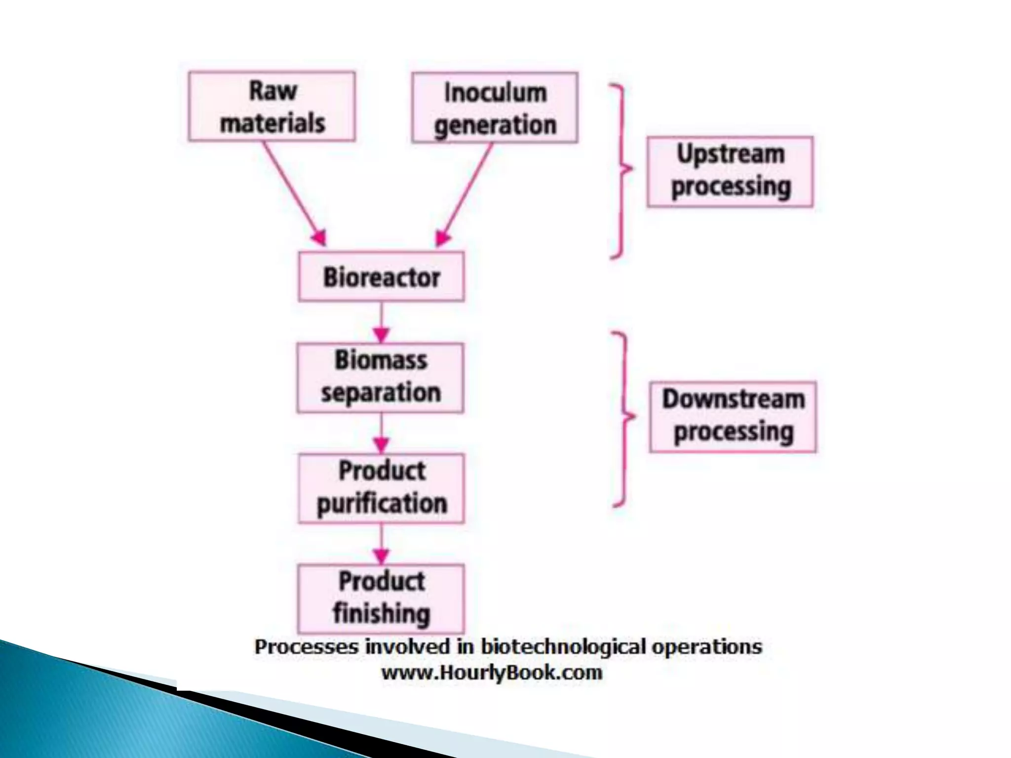 Microbial bioprocessing