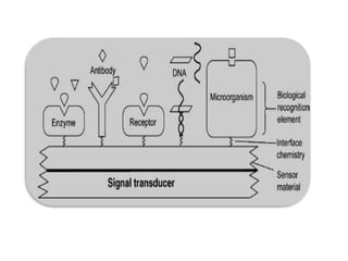 Environmental Biotechnology Topic:- Microbial Biosensor | PPTX