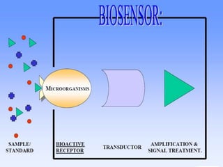Environmental Biotechnology Topic:- Microbial Biosensor | PPTX