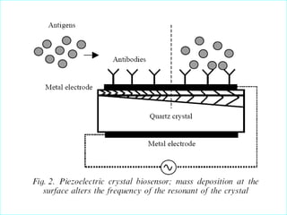 Environmental Biotechnology Topic:- Microbial Biosensor | PPTX