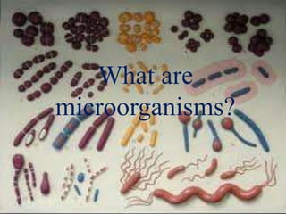What are
microorganisms?
 