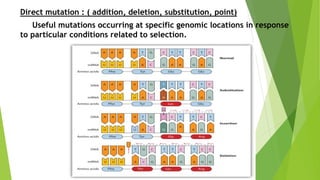 Microbial biotechnology unit 1 [B.Sc Biotechnology].pptx