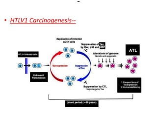 Microbial carcinogenesis - Molecular Mechanism of Cancer | PPTX