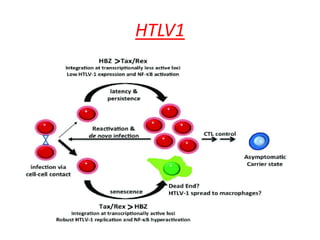 Microbial carcinogenesis - Molecular Mechanism of Cancer | PPTX