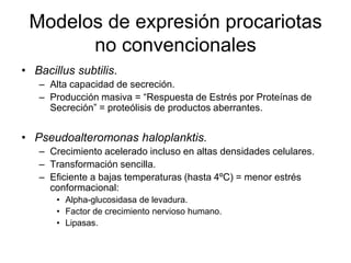 Modelos de expresión procariotas
no convencionales
• Bacillus subtilis.
– Alta capacidad de secreción.
– Producción masiva = “Respuesta de Estrés por Proteínas de
Secreción” = proteólisis de productos aberrantes.
• Pseudoalteromonas haloplanktis.
– Crecimiento acelerado incluso en altas densidades celulares.
– Transformación sencilla.
– Eficiente a bajas temperaturas (hasta 4ºC) = menor estrés
conformacional:
• Alpha-glucosidasa de levadura.
• Factor de crecimiento nervioso humano.
• Lipasas.
 