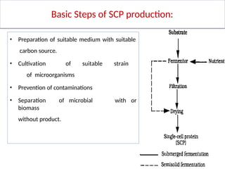 Microbial Cell Product: Single Cell Protein | PPTX