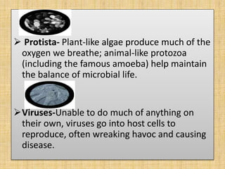Microbial clock | PPTX