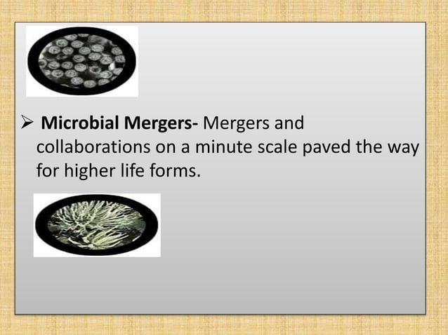 Microbial clock | PPTX