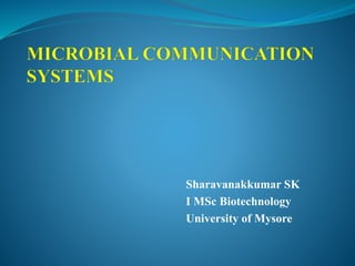Sharavanakkumar SK
I MSc Biotechnology
University of Mysore
 