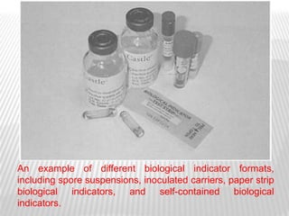An example of different biological indicator formats,
including spore suspensions, inoculated carriers, paper strip
biological indicators, and self-contained biological
indicators.
 