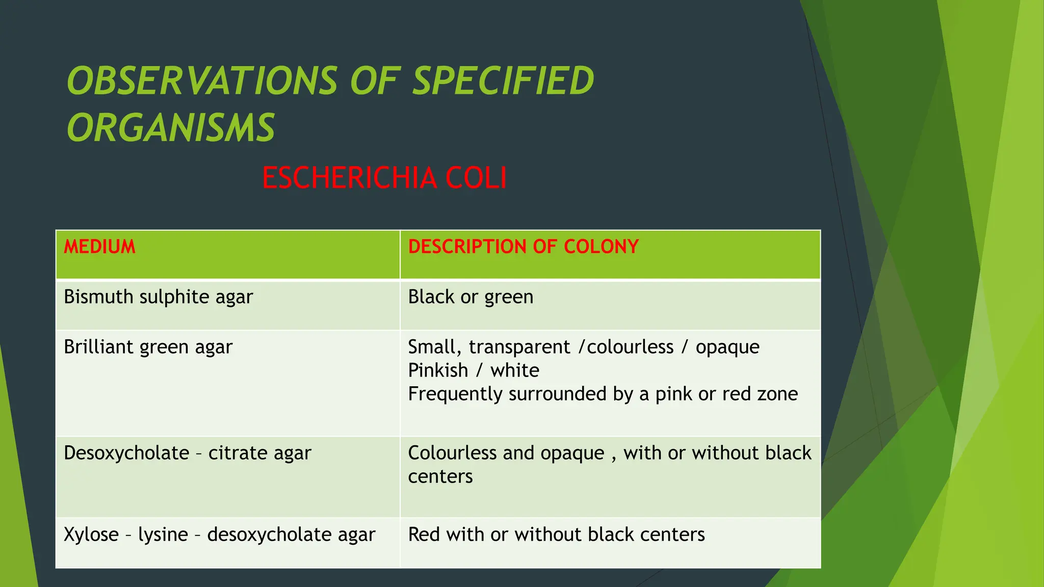 OBSERVATIONS OF SPECIFIED
ORGANISMS
ESCHERICHIA COLI
MEDIUM DESCRIPTION OF COLONY
Bismuth sulphite agar Black or green
Brilliant green agar Small, transparent /colourless / opaque
Pinkish / white
Frequently surrounded by a pink or red zone
Desoxycholate – citrate agar Colourless and opaque , with or without black
centers
Xylose – lysine – desoxycholate agar Red with or without black centers
 