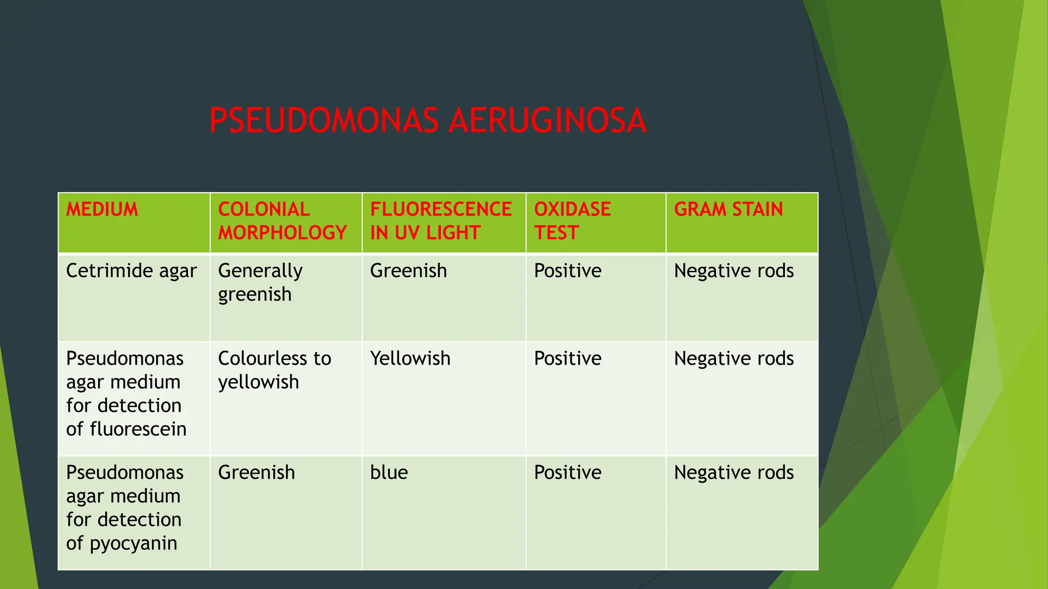 PSEUDOMONAS AERUGINOSA
MEDIUM COLONIAL
MORPHOLOGY
FLUORESCENCE
IN UV LIGHT
OXIDASE
TEST
GRAM STAIN
Cetrimide agar Generally
greenish
Greenish Positive Negative rods
Pseudomonas
agar medium
for detection
of fluorescein
Colourless to
yellowish
Yellowish Positive Negative rods
Pseudomonas
agar medium
for detection
of pyocyanin
Greenish blue Positive Negative rods
 