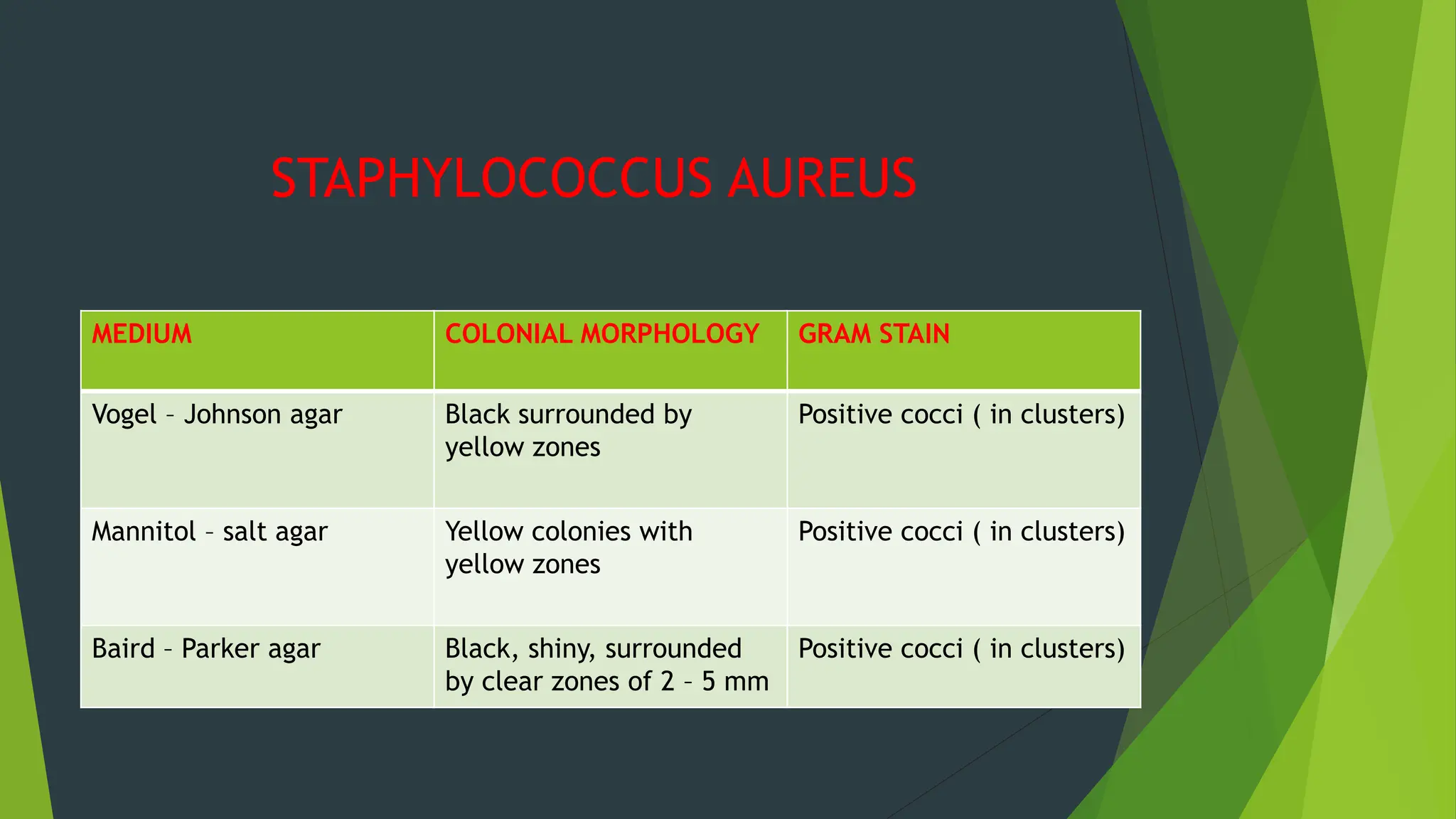 STAPHYLOCOCCUS AUREUS
MEDIUM COLONIAL MORPHOLOGY GRAM STAIN
Vogel – Johnson agar Black surrounded by
yellow zones
Positive cocci ( in clusters)
Mannitol – salt agar Yellow colonies with
yellow zones
Positive cocci ( in clusters)
Baird – Parker agar Black, shiny, surrounded
by clear zones of 2 – 5 mm
Positive cocci ( in clusters)
 
