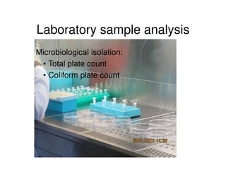 Microbial contaminations in milk and identification of selected pathogenic bacteria along dairy value chain in Tanga region, Tanzania