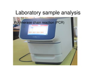 Microbial contaminations in milk and identification of selected pathogenic bacteria along dairy value chain in Tanga region, Tanzania