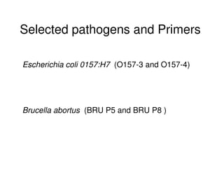 Microbial contaminations in milk and identification of selected pathogenic bacteria along dairy value chain in Tanga region, Tanzania