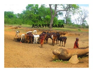 Microbial contaminations in milk and identification of selected pathogenic bacteria along dairy value chain in Tanga region, Tanzania